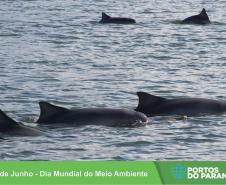 Nesta quarta-feira (5), Dia Internacional do Meio Ambiente, a equipe dos Portos do Paraná promove uma palestra sobre Emissões Atmosférica para os alunos do curso de Técnico de Meio Ambiente do Centro Estadual de Educação Profissional Dr. Brasílio Machado, em Antonina.   -  Foto:  Cesar Alberto Teixeira de Oliveira