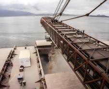 Movimentação Porto de Paranaguá  -  Paranaguá, 10/06/2019  -  Foto: Cláudio Neves/APPA