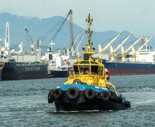 Nesta sexta-feira (14), as operações e manobras de atracação e desatracação de navios nos Portos do Paraná foram intensas. No mesmo ritmo seguem durante todo o final de semana. A previsão da Diretoria de Operações é que o cais público e píeres de Paranaguá sejam 100% ocupados nos próximos dias.Foto: Claudio Neves/Portos do Paraná