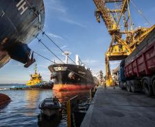 Nesta sexta-feira (14), as operações e manobras de atracação e desatracação de navios nos Portos do Paraná foram intensas. No mesmo ritmo seguem durante todo o final de semana. A previsão da Diretoria de Operações é que o cais público e píeres de Paranaguá sejam 100% ocupados nos próximos dias.Foto: Claudio Neves/Portos do Paraná