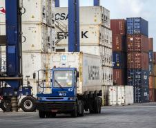 Mais de 38% de todo o frango congelado exportado pelo Brasil, em 2019, saiu do país pelo Porto de Paranaguá. De janeiro a maio, as vendas de carne de frango brasileira somaram 1,6 milhão de toneladas. Deste total, 637,6 mil toneladas foram movimentadas no porto paranaense. Foto: Claudio Neves/Portos do Paraná