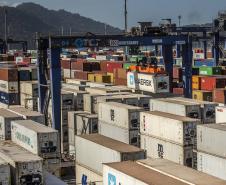 Mais de 38% de todo o frango congelado exportado pelo Brasil, em 2019, saiu do país pelo Porto de Paranaguá. De janeiro a maio, as vendas de carne de frango brasileira somaram 1,6 milhão de toneladas. Deste total, 637,6 mil toneladas foram movimentadas no porto paranaense. Foto: Claudio Neves/Portos do Paraná