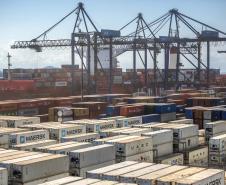 Mais de 38% de todo o frango congelado exportado pelo Brasil, em 2019, saiu do país pelo Porto de Paranaguá. De janeiro a maio, as vendas de carne de frango brasileira somaram 1,6 milhão de toneladas. Deste total, 637,6 mil toneladas foram movimentadas no porto paranaense. Foto: Claudio Neves/Portos do Paraná