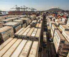 Mais de 38% de todo o frango congelado exportado pelo Brasil, em 2019, saiu do país pelo Porto de Paranaguá. De janeiro a maio, as vendas de carne de frango brasileira somaram 1,6 milhão de toneladas. Deste total, 637,6 mil toneladas foram movimentadas no porto paranaense. Foto: Claudio Neves/Portos do Paraná