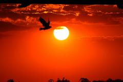 Um belo pôr do Sol.