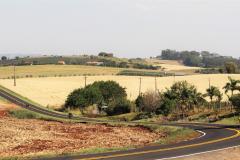 Serviços de conservação do pavimento em rodovias estaduais