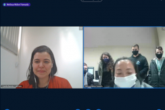 Treinamento online da iRAP