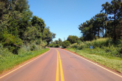 PR-317 entre Toledo e Santa Helena