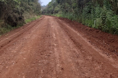 PR-462, entre Águas de Jurema e a Ponte do Rio do Óleo