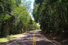 Rodovia com árvores na região Oeste