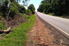 PR-489 entre Umuarama e Xambrê