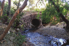Ponte atual sobre o Ribeirão Pinguim