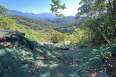 BR-277 km 39 Litoral obra concluída