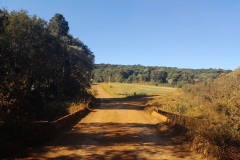 Ponte do Rio Corvo em Boa Ventura de São Roque