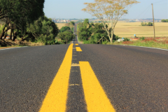 Serviços de conservação do pavimento e faixa de domínio de rodovias estaduais