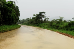 PR-405 em Guaraqueçaba