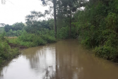 PR-459 em Clevelândia