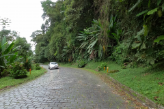 Estrada da Graciosa - vista de câmera de veículo