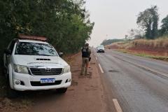 PR-317: fiscalização por radar em teste