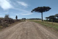 PR-459 entre Clevelândia e Mangueirinha, trecho não-pavimentado