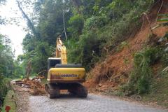 Estrada da Graciosa: retirada de raízes de árvores caídas
