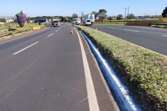 Veículos em rodovias
