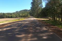 Lote 01 - PRC-446 em Bituruna