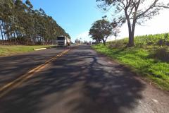 PR-445 em Bela Vista do Paraíso