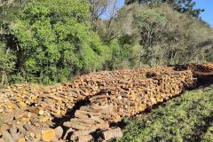 PRC-466 material lenhoso depositado na faixa de domínio