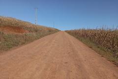 PR-462 entre Iretama e Barbosa Ferraz