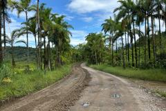 Serviços de conservação na Estrada de Guaraqueçaba