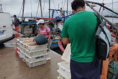 Acompanhamento técnico da atividade pesqueira na Baía de Guaratuba 