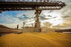 Movimentação Porto de Paranaguá  -  Paranaguá, 10/06/2019  -  Foto: Cláudio Neves/APPA