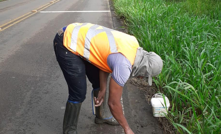 Serviços iniciais na PR-562, para adequação da rodovia e execução de terceiras faixas