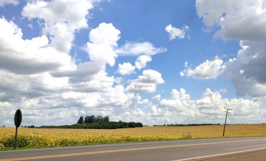 Local onde será implantado viaduto e variante da PR-180