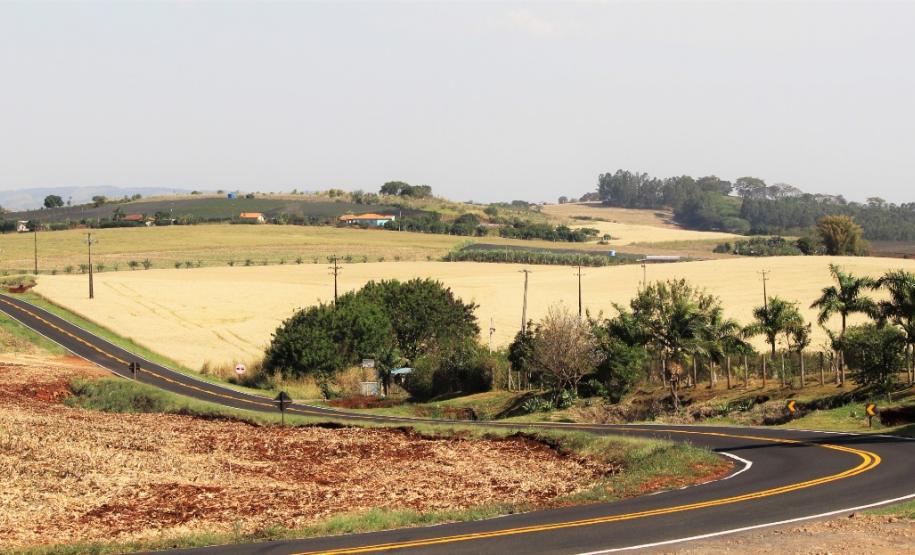 Serviços de conservação do pavimento em rodovias estaduais