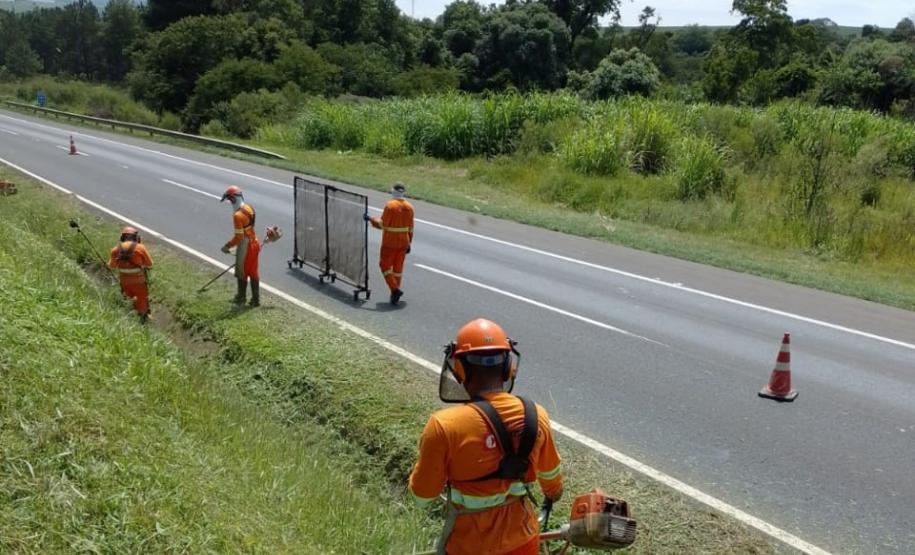 Conservação PR-151
