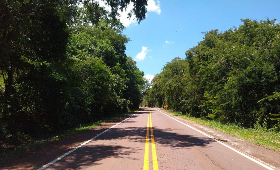 Serviços do PROSEG PARANÁ na PR-317 em São Clemente, distrito de Santa Helena