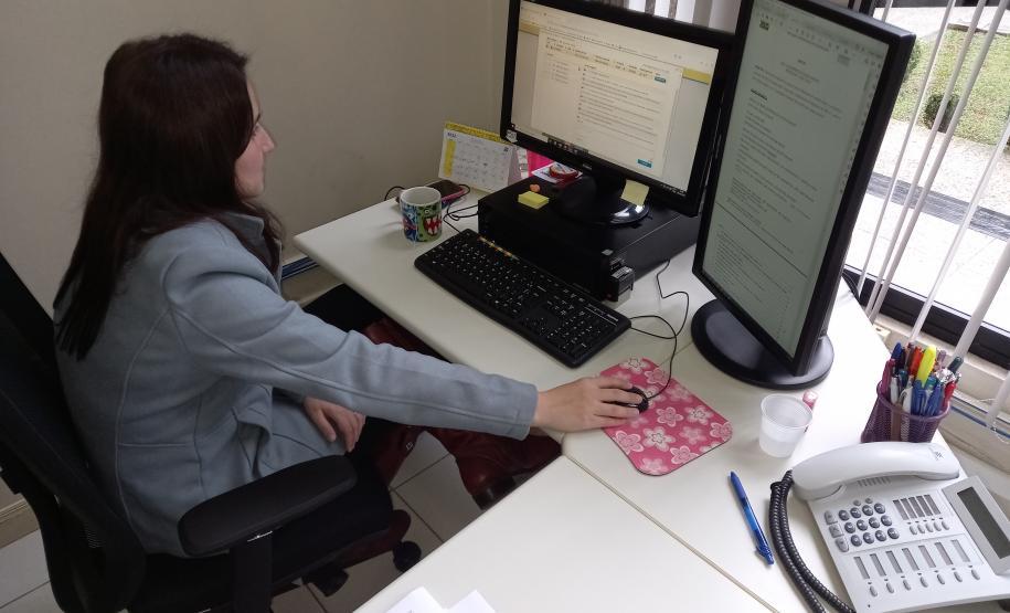 Sessão de lances online da licitação