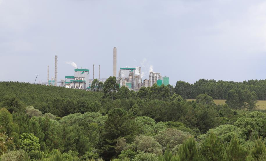 Instalações Klabin