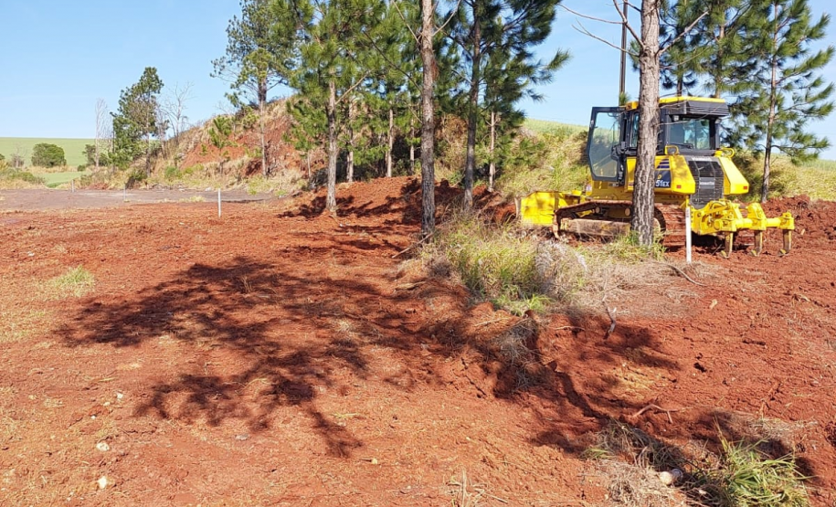 Limpeza de camada vegetal PR-445