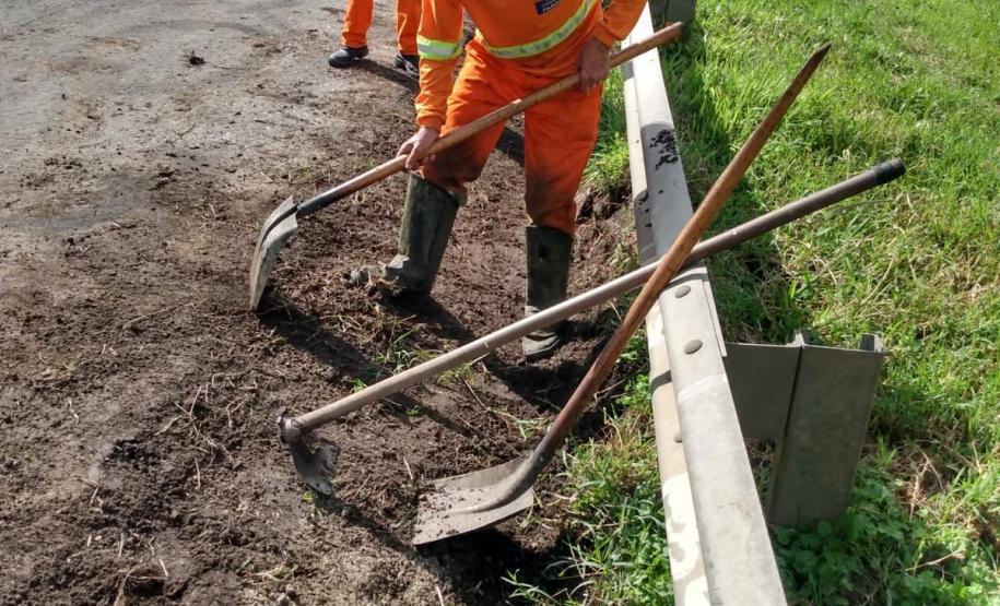 Conservação faixa de domínio PR-151