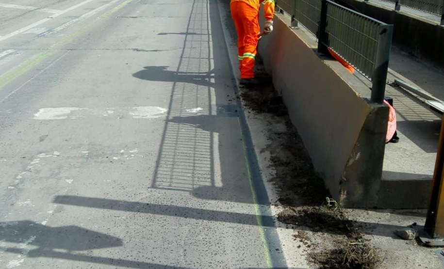 Conservação faixa de domínio PR-151