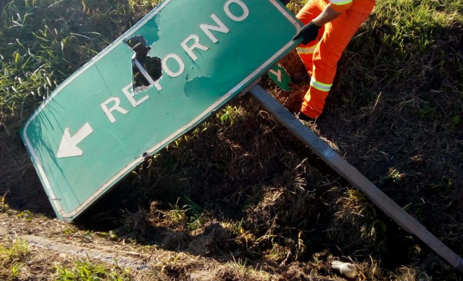 Conservação faixa de domínio PR-151