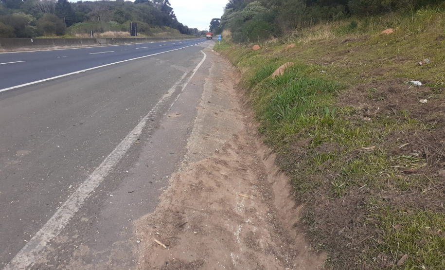 Conservação faixa de domínio PR-151