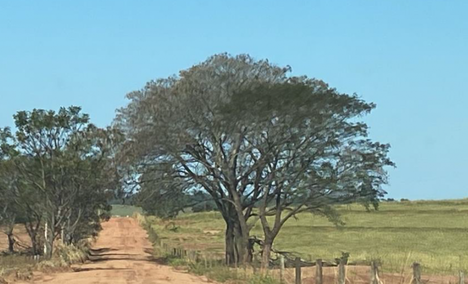 Serviços na PR-478 em Loanda