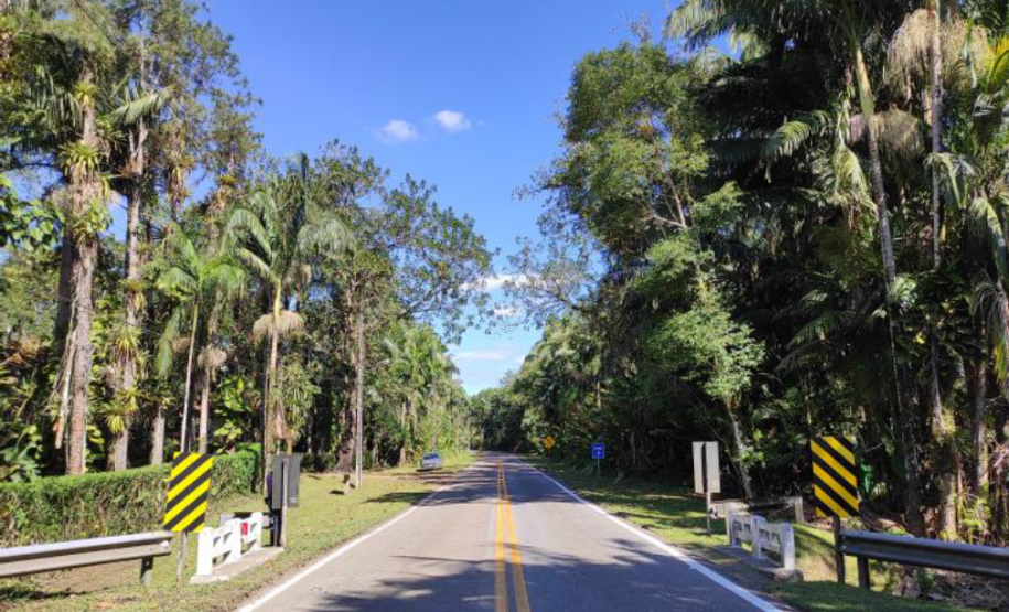 Ponte Rio Arroio PR-411 km 10