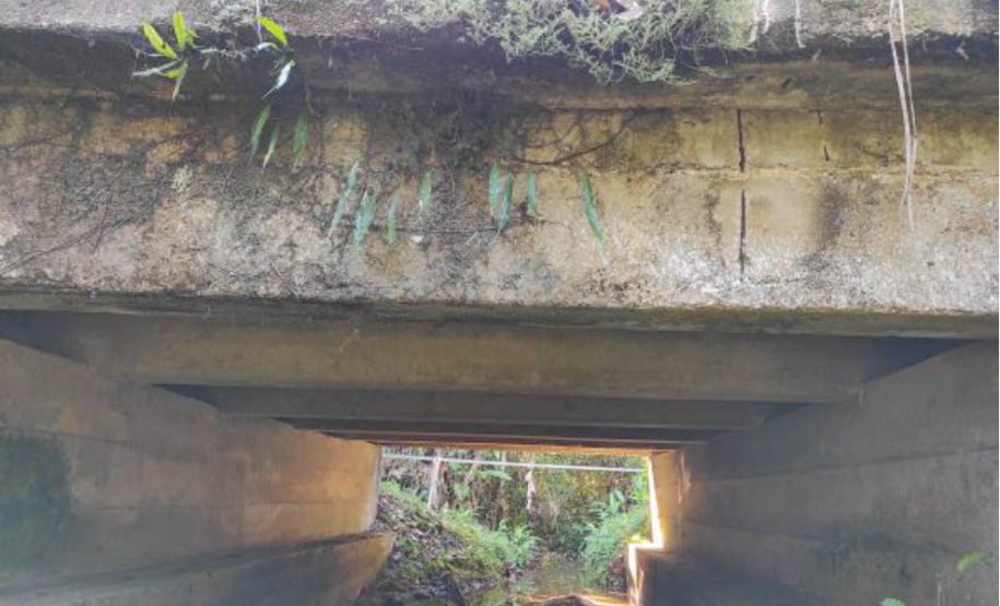 Ponte Rio Cabral PR-340