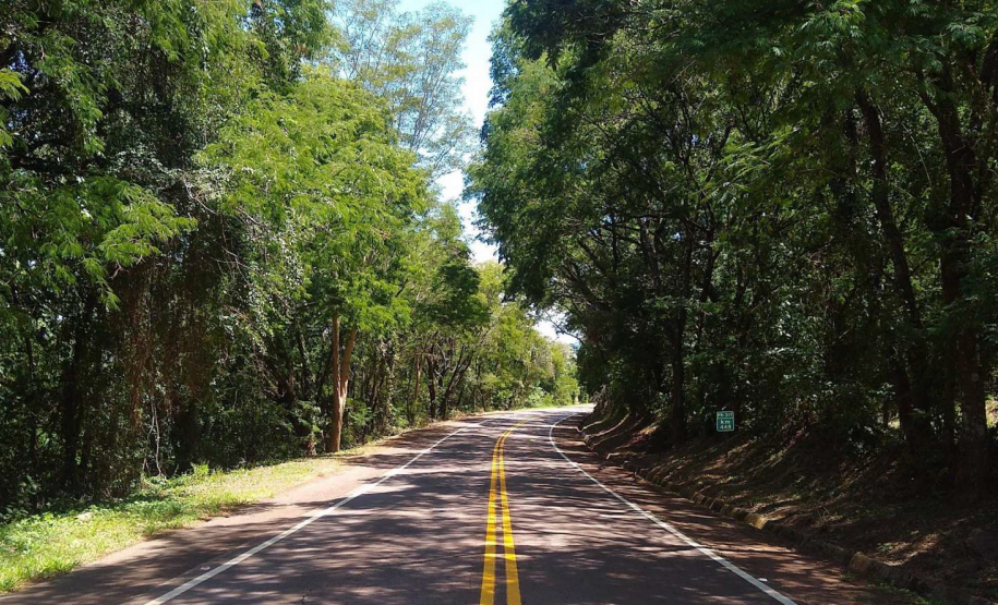 Rodovia com árvores na região Oeste