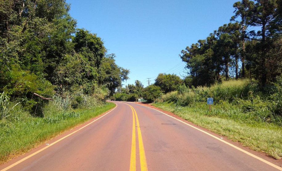 Rodovia com árvores na região Oeste